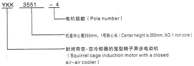 YKK系列(H355-1000)高压Y4005-4/450KW三相异步电机西安泰富西玛电机型号说明